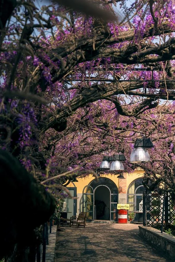 Il Glicine B&B Ristorante Cazzago San Martino Bed & Breakfast