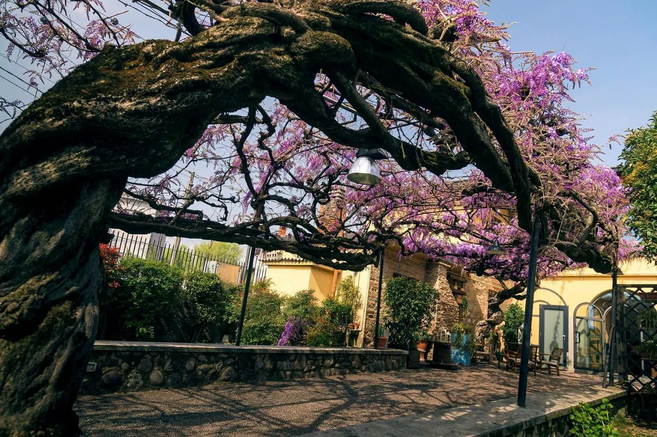 Il Glicine B&B Ristorante Cazzago San Martino Bed & Breakfast
