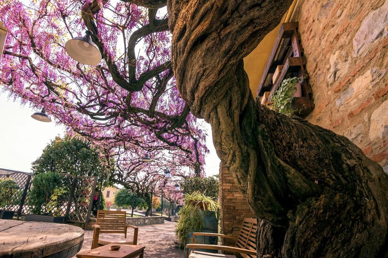 Il Glicine B&B Ristorante Cazzago San Martino Italy