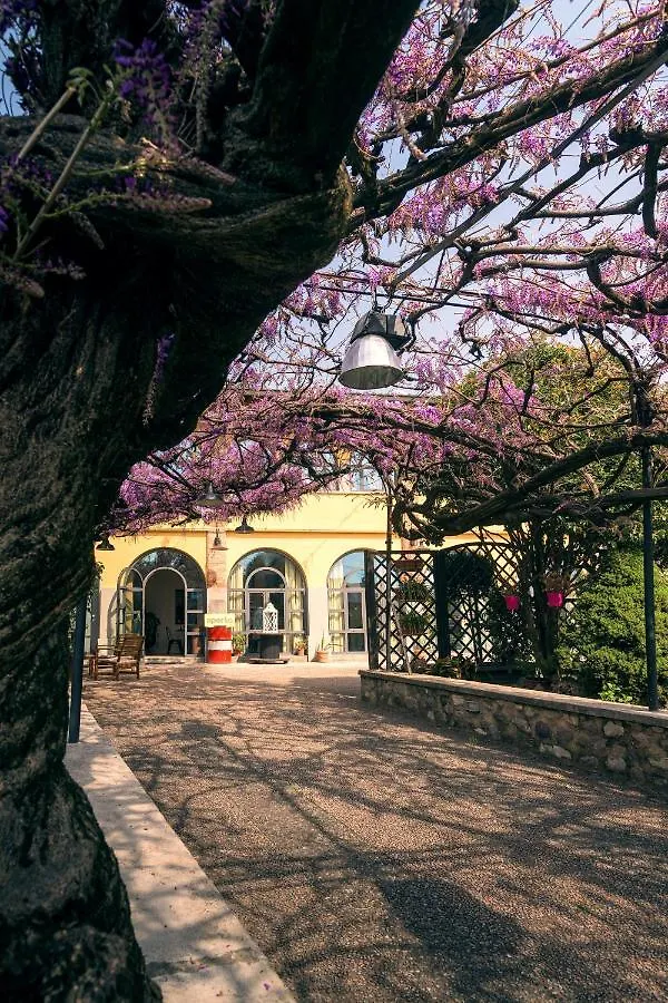 Il Glicine B&B Ristorante Cazzago San Martino Bed & Breakfast